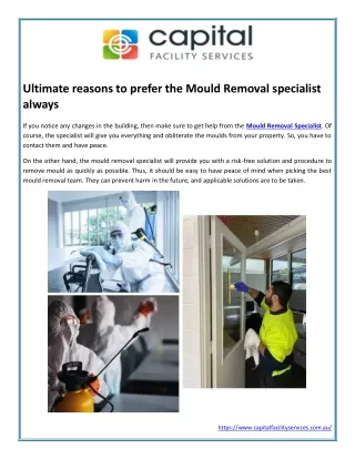 Ultimate reasons to prefer the Mould Removal specialist always