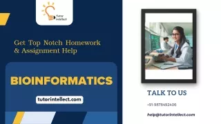 get top notch homework assignment help