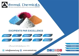 Anmol Chemicals Pvt. Ltd. Company Profile_RV00