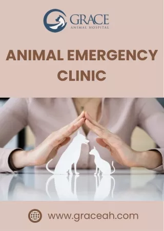 Choosing an Animal Emergency Clinic What Pet Owners Need to Know