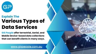 Explain The Various Types of Data Services