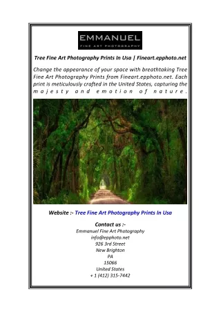 tree fine art photography prints in usa fineart