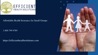 Find Affordable Health Insurance For Small Groups | Efficient Health Solutions