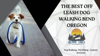 The Best Off Leash Dog Walking Bend Oregon