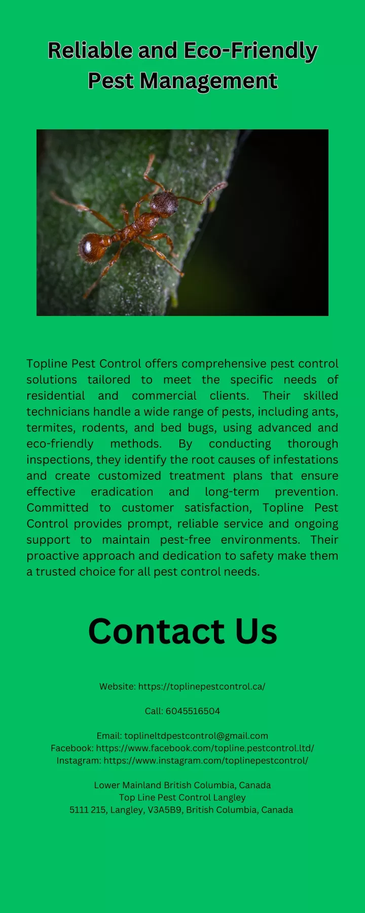 reliable and eco friendly pest management pest