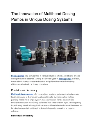 The Innovation of Multihead Dosing Pumps in Unique Dosing Systems (1)