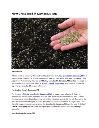New Grass Seed in Damascus, MD