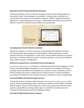 exploring the world of openteq netsuite developers