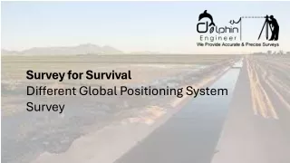 Dolphin Egineers: Survey to Survival