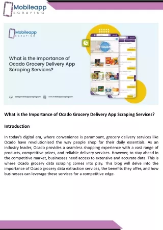 what is the importance of ocado grocery delivery