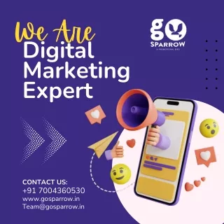 Go Sparrow The Best Digital Marketing Company in Patna