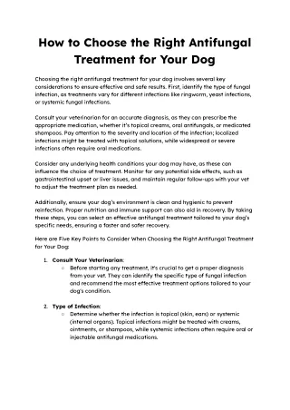 How to Choose the Right Antifungal Treatment for Your Dog