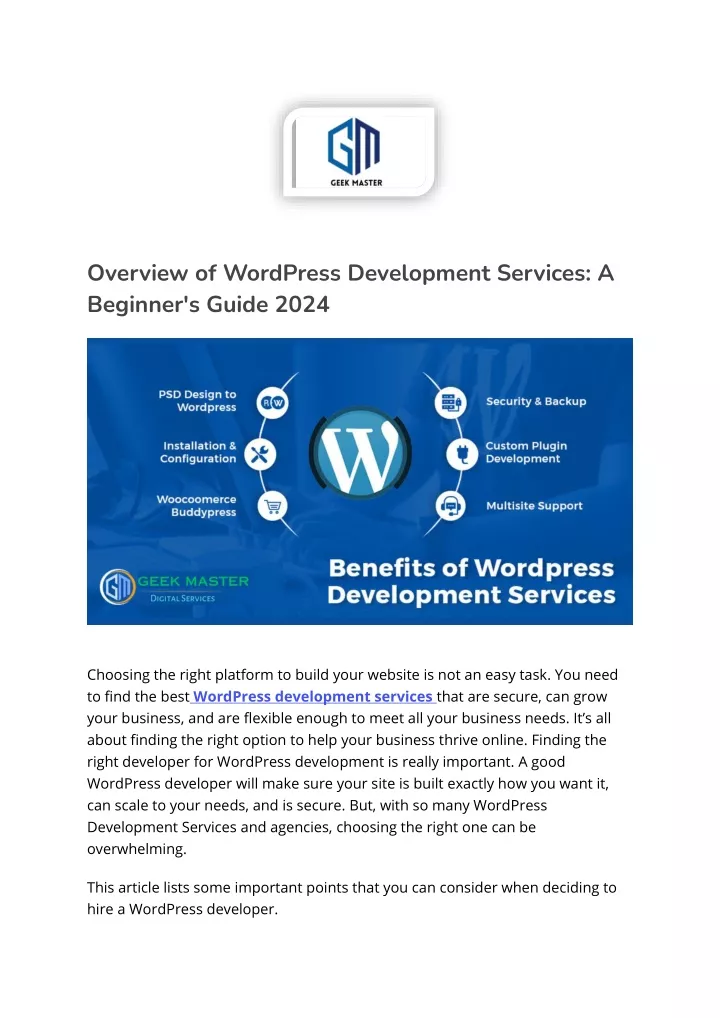 overview of wordpress development services