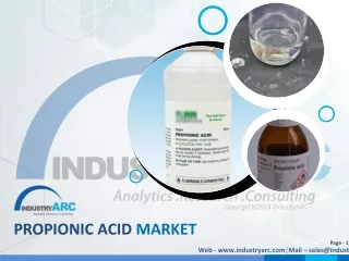 Propionic Acid Market 2023 - 2030)_Sample Extract.pdf