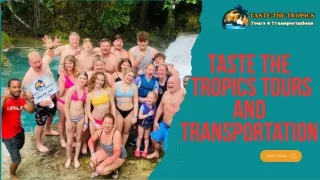 Airport Shuttle Services Jamaica
