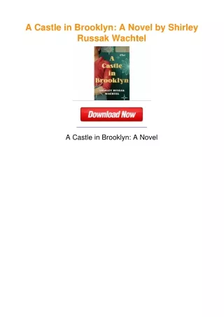 A Castle in Brooklyn: A Novel by Shirley Russak Wachtel