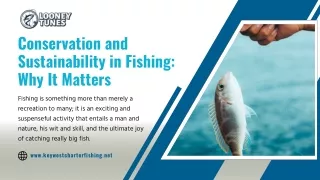 Conservation and Sustainability in Fishing Why It Matters