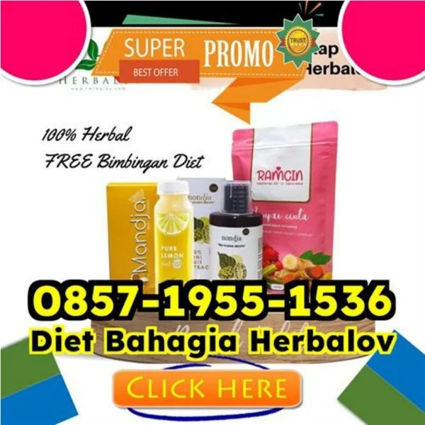 WA 0857-1955-1536 Suplemen Obat Diet Paling Cepat Kurus Tambora Binjai