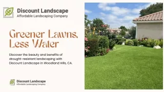 Greener Lawns, Less Water