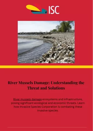 river mussels damage understanding the threat