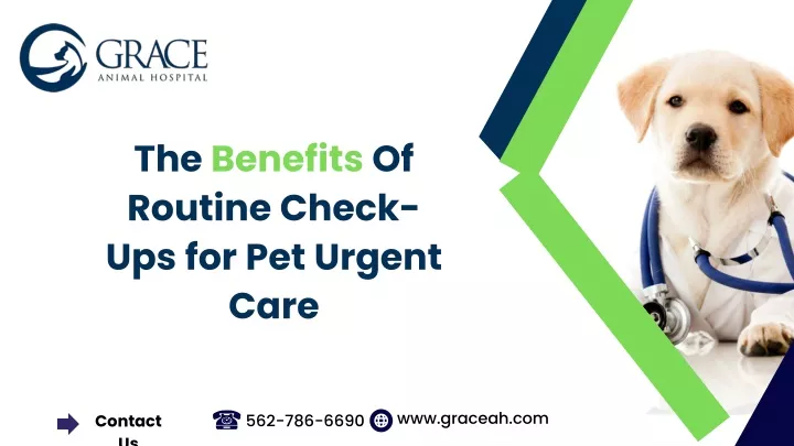 the benefits of routine check ups for pet urgent