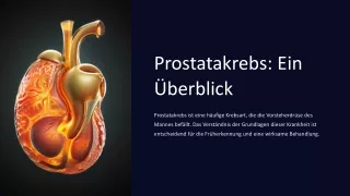prostatakrebs ein berblick