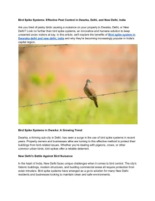 Bird Spike Systems_ Effective Pest Control in Dwarka, Delhi, and New Delhi, India