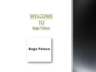Buy Alexander Wang Bags Online in USA | Bags Palace