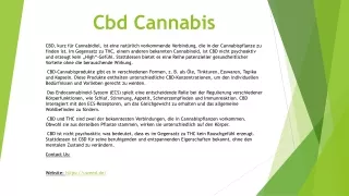 cbd cannabis