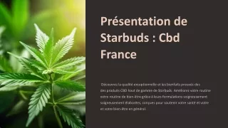 pr sentation de starbuds cbd france