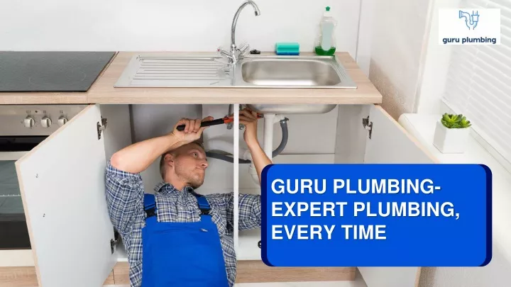 guru plumbing expert plumbing every time