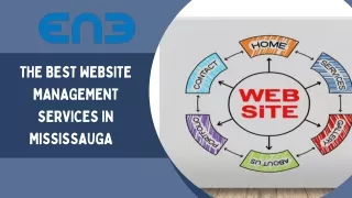 The Best Website Management Services In Mississauga