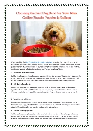 Choosing the Best Dog Food for Your Mini Golden Doodle Puppies in Indiana