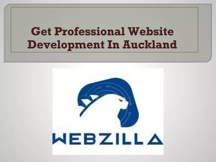 get professional website development in auckland