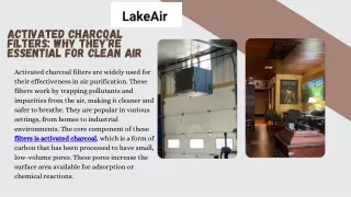 Premium Activated Charcoal Filters for Superior Air Quality  LakeAir