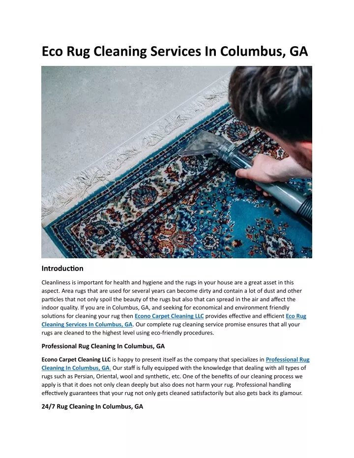 eco rug cleaning services in columbus ga