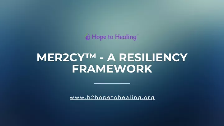 mer2cy a resiliency framework