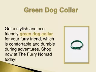 Green Dog Collar