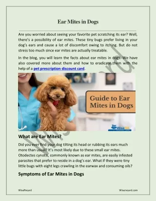 Ear Mites in Dogs