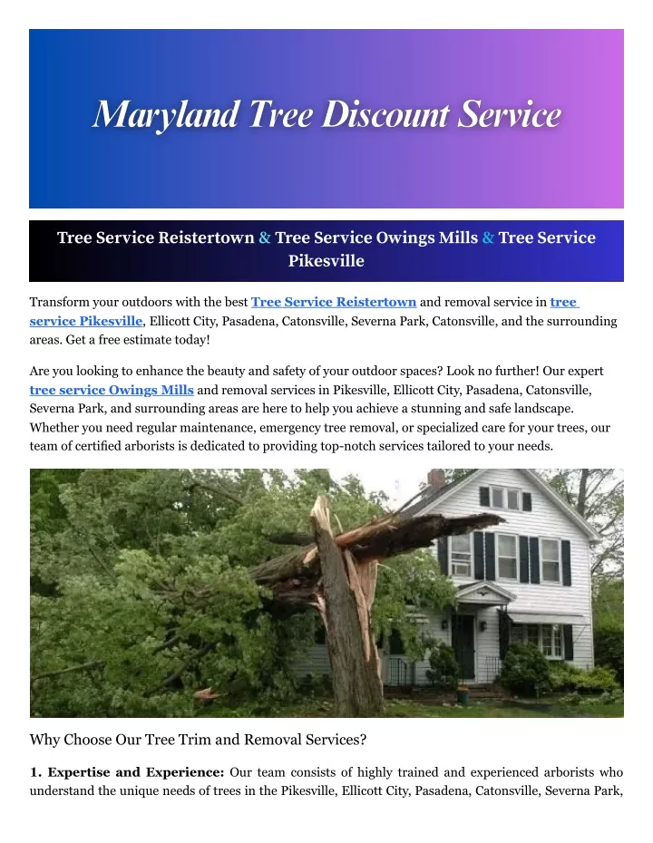 tree service reistertown tree service owings