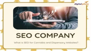 What is SEO for Cannabis and Dispensary Websites