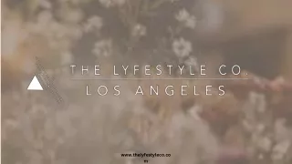 www thelyfestyleco com