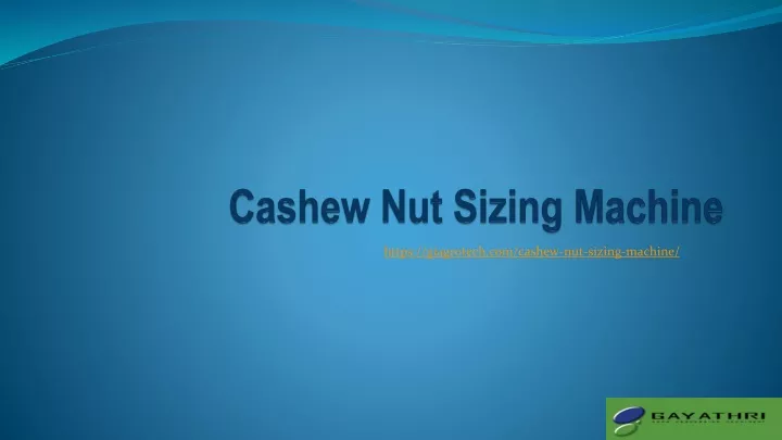 cashew nut sizing machine