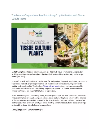 The Future of Agriculture Revolutionizing Crop Cultivation with Tissue Culture Plants