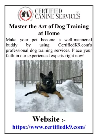 Master the Art of Dog Training at Home
