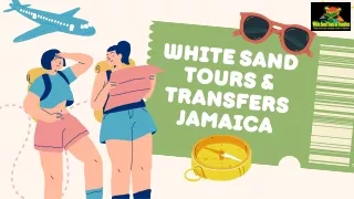 White Sand Tours and Travels