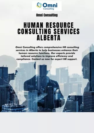 omni consulting