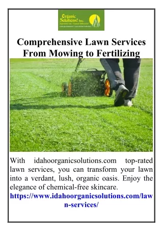 Comprehensive Lawn Services From Mowing to Fertilizing