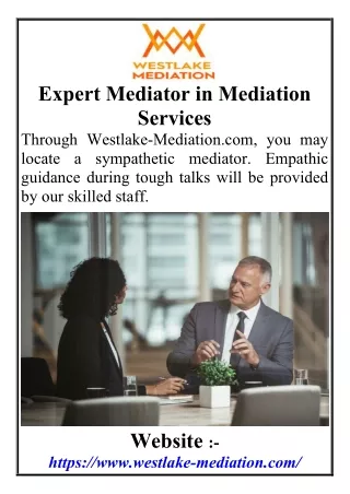 Expert Mediator in Mediation Services