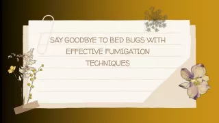 Say Goodbye to Bed Bugs with Effective Fumigation Techniques